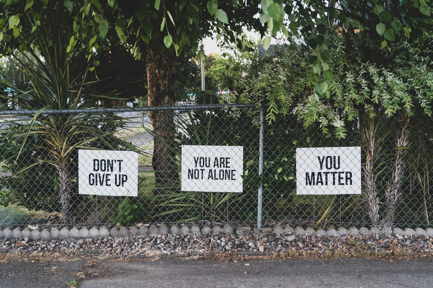 5 Lessons From Working in Mental Health